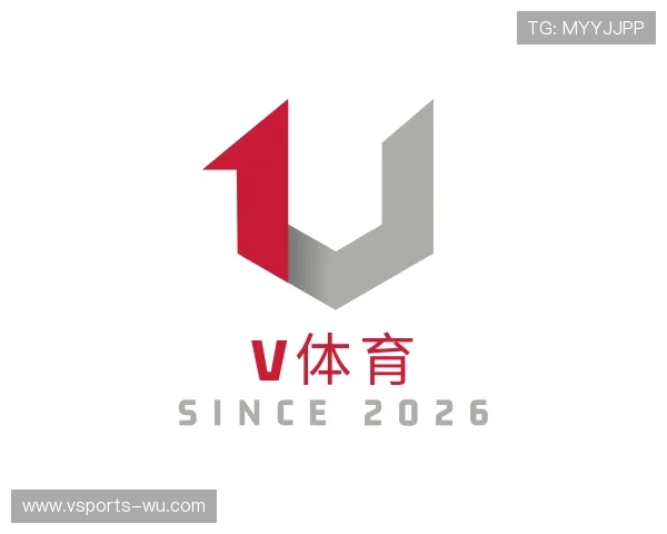 关于V体育